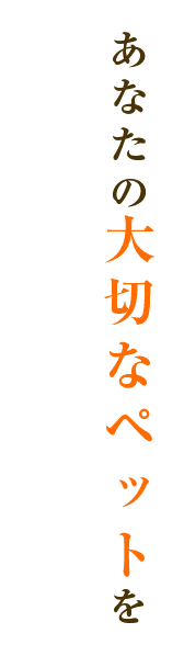 あなたの大切なペットを