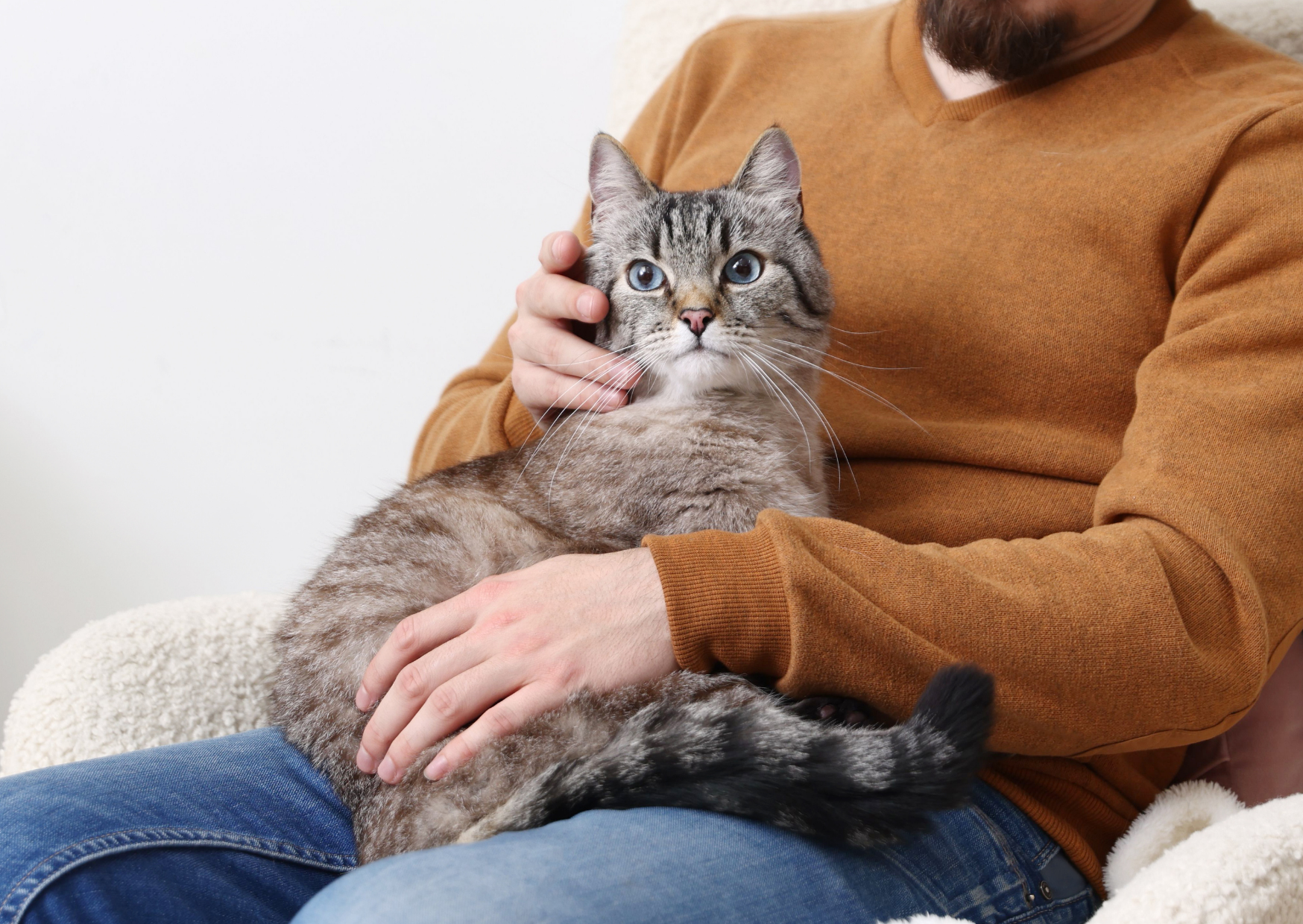 猫の糖尿病|インスリン治療と長く付き合うために知っておきたい管理のポイント